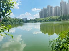 -成都南湖公园