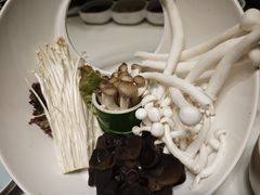 -洪氏嗨捞·猪肚鸡火锅(阳光天地店)