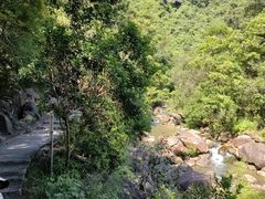 -广州白江湖森林公园