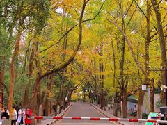 -岳麓山风景名胜区