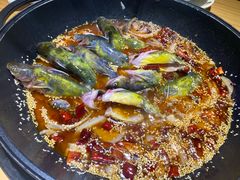 黄辣丁鲜鱼锅-小小河边鱼(天润城店)