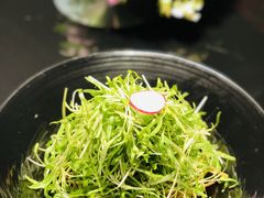 -凤凰湘语·湘粤鲜融(浦东旗舰店)