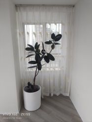 -HEYAN荷妍专业脱毛连锁机构