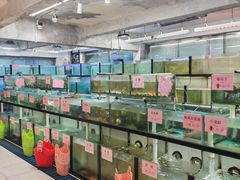 -联邦酒楼