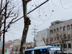 -乐天免税店(明洞店)