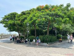 -鼓浪屿内厝澳码头(轮渡站)