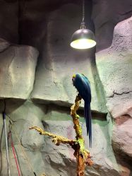 -Zoolung Zoolung动物主题公园(海信广场店)