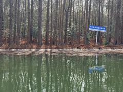 -上海海湾国家森林公园