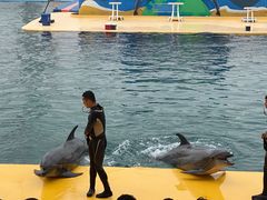 -秦皇岛乐岛海洋王国