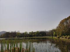 -长广溪湿地公园