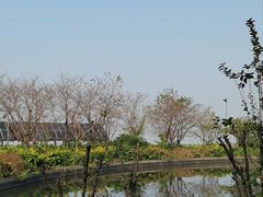 -滆湖低碳生态公园