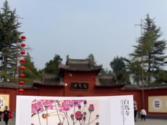 -洛阳白马寺