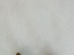 -世界之窗阿尔卑斯冰雪世界