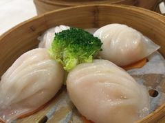 -顺悦酒家(嘉信城市广场店)