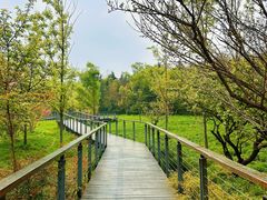 -昆山城市生态森林公园