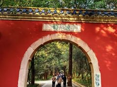 -灵谷景区