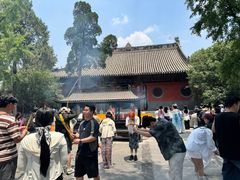-洛阳白马寺