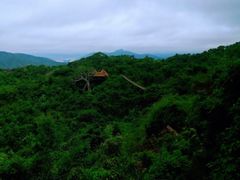 -三亚亚龙湾人间天堂鸟巢度假村
