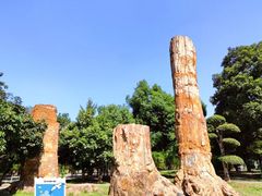 -汉水公园