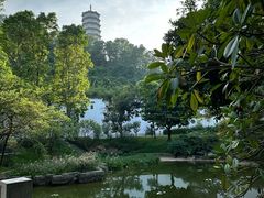 -深圳国际园林花卉博览园