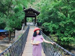 -石台牯牛降景区