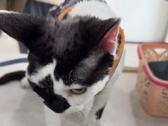 -佳雯宠物医院·皮肤科·内外科(春晓路分院)