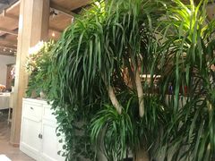 -春暖花开(西溪店)
