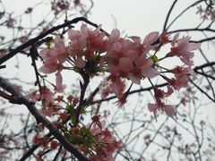 -小南山公园