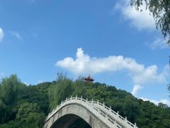 -禹州森林植物园