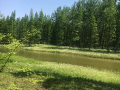 -黄海国家森林公园