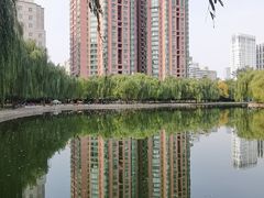 -团结湖公园