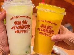 -福苗小骆驼烧烤(莲湖路店)