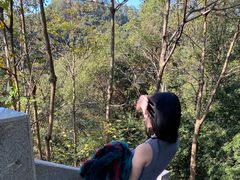 -火炉山森林公园