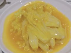 -丁老爷子苏香圆