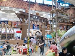 -卡通尼·Safari非洲探索乐园·生日会(金桥国际商业广场店)