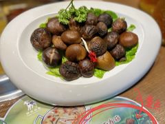 -快乐小羊(富强中路店)