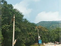 -北京十三陵国家森林公园蟒山景区
