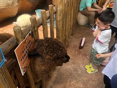 -杭州开元森泊度假乐园