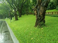 -云溪植物园