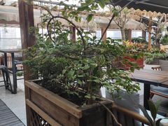-时光乌托邦空中花园餐厅川味·融合菜(幸福广场店)