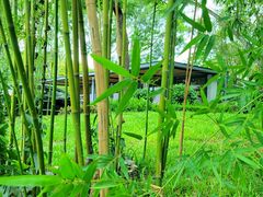 -深圳湾公园(南山区)
