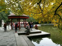 -双清别墅