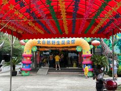 -上海大自然野生昆虫馆(东方明珠·爬宠昆虫探索中心)