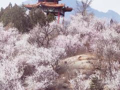 -白水寺森林公园