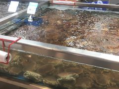 -盒马鲜生(大成店)