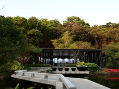 -云溪植物园
