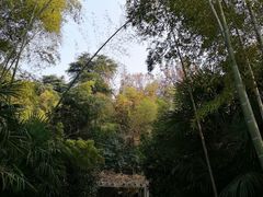 -雨花台烈士纪念馆