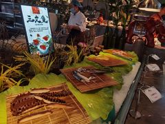 -齐河孔雀王温泉酒店·金孔雀自助百汇