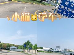 -胜华驾校·小猫学车(银都店)