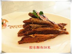 -聚宝渔港.五钻酒家(上地店)